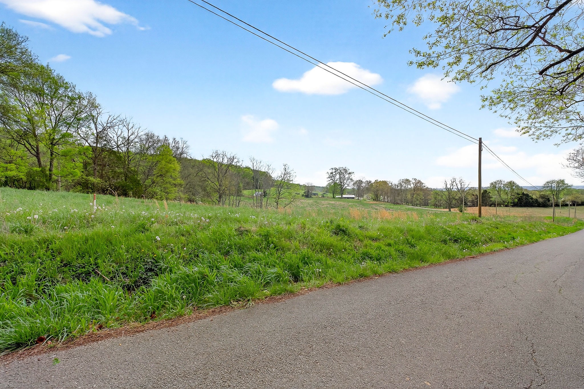 0 Joppa Road Walling, TN 38587 - Photo 4 of 5