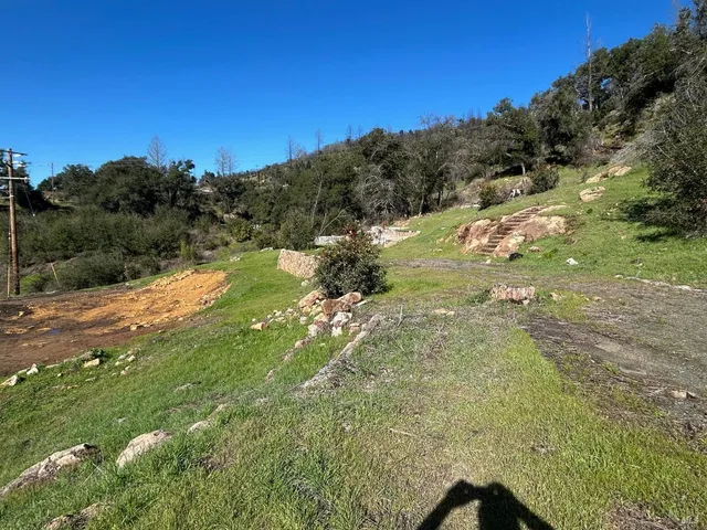 a view of a green filed