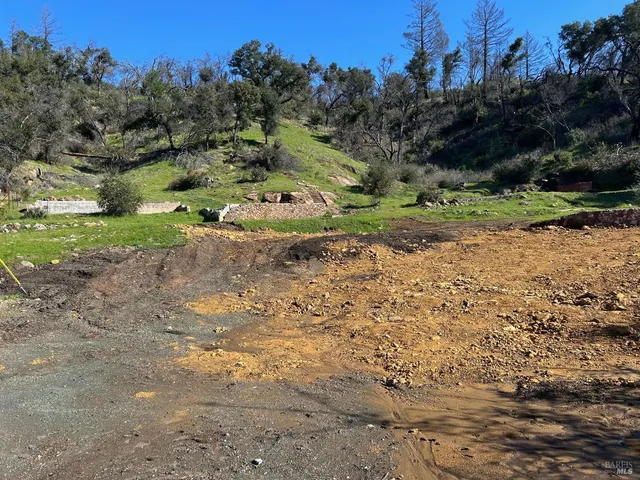 a view of house with a large pool and large trees