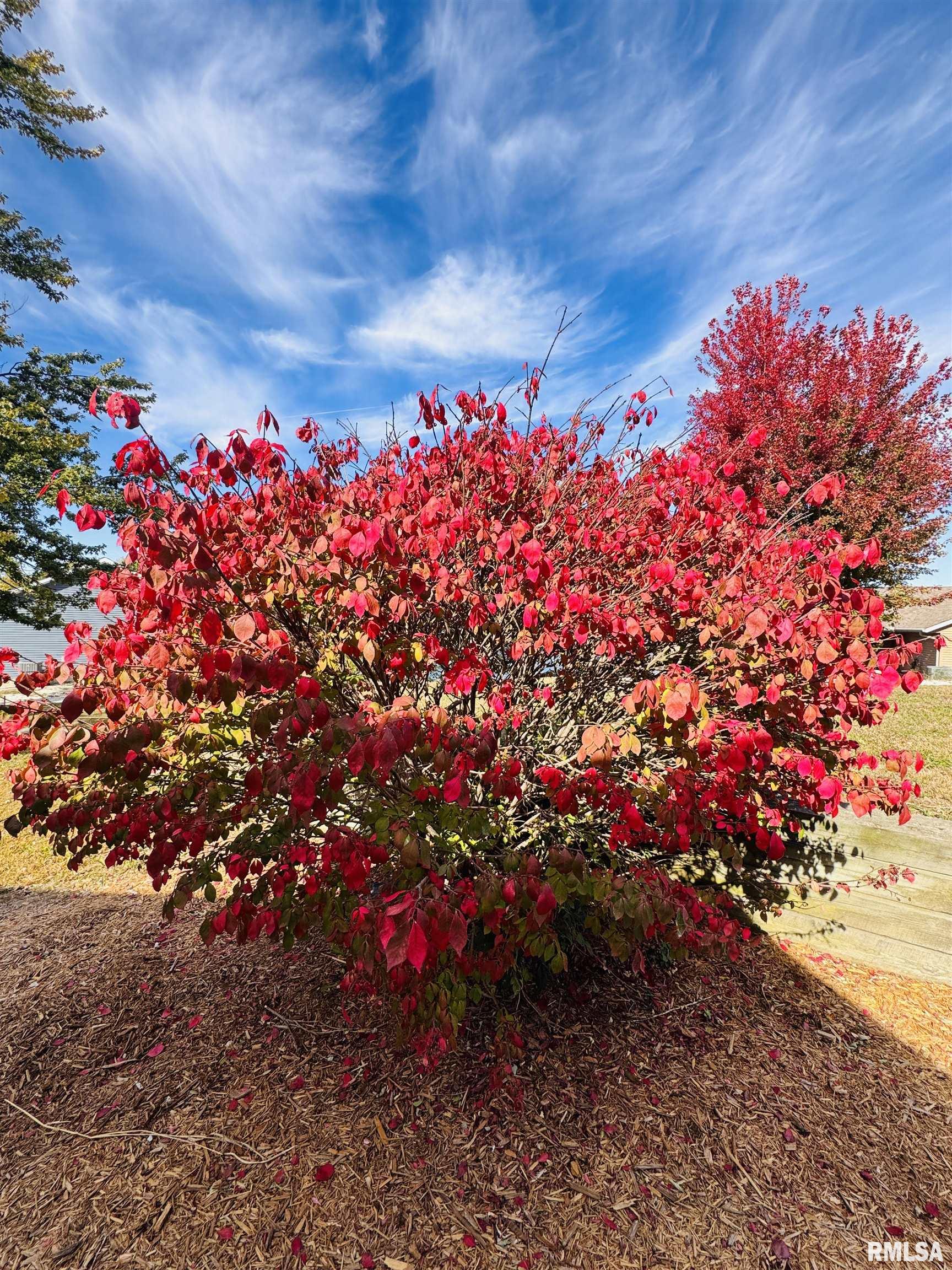 21 Bricker Circle Avon, IL 61415 - Photo 6 of 7