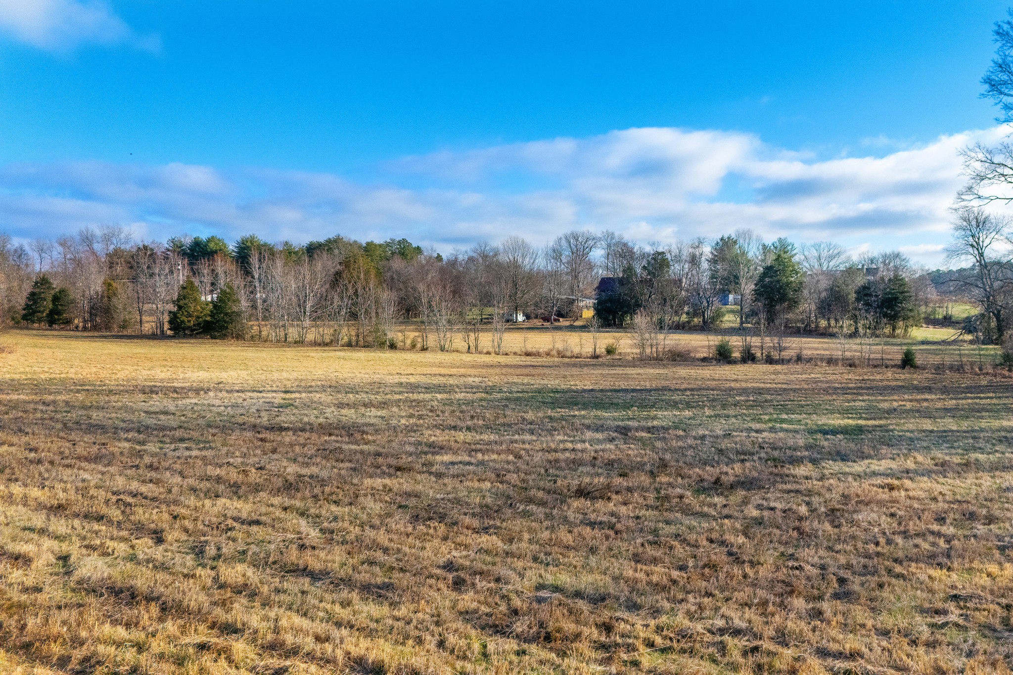 2275 Osburn Road Arrington, TN 37014 - Photo 11 of 18 a view of an ocean beach and mountain
