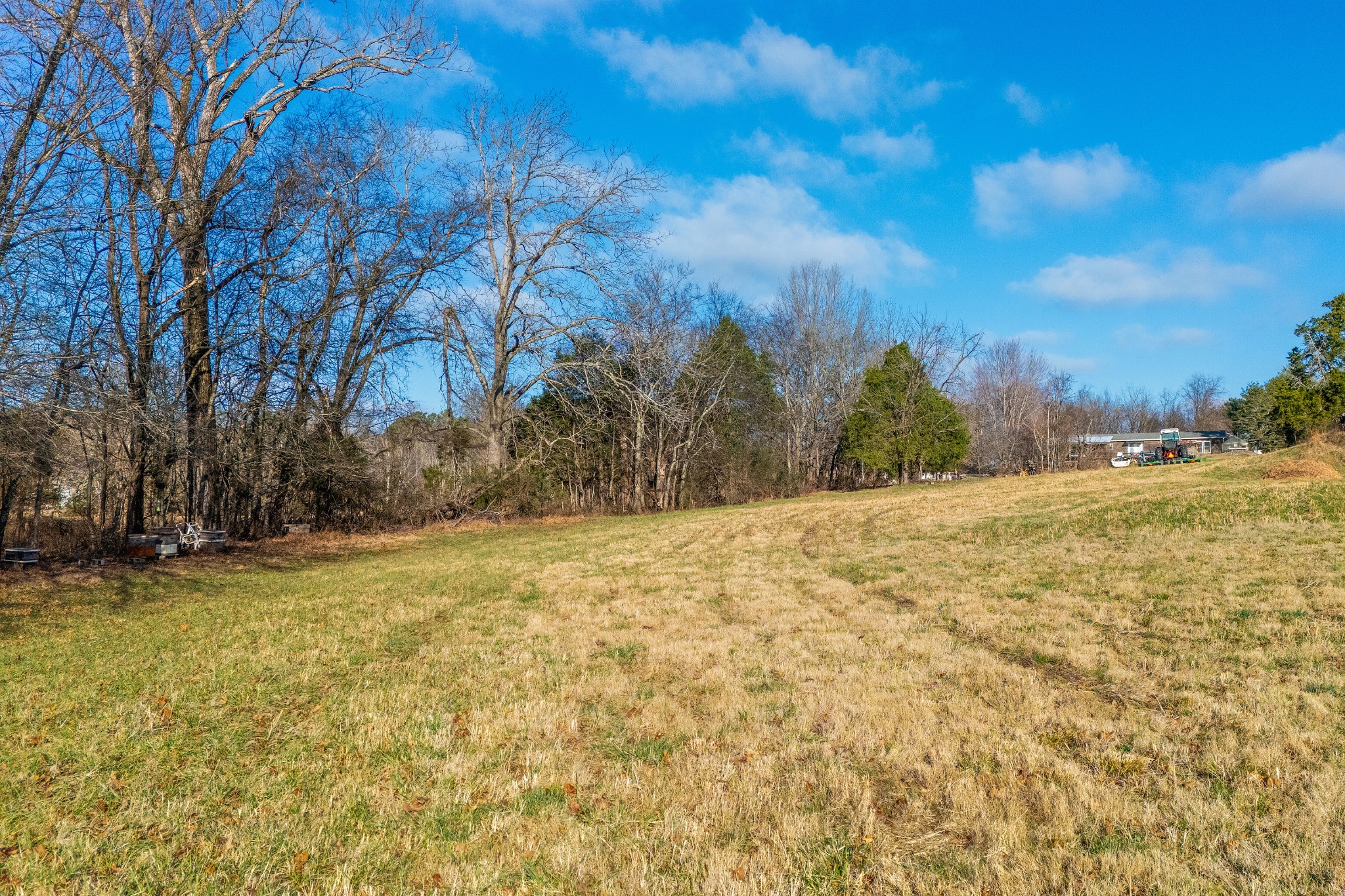 2275 Osburn Road Arrington, TN 37014 - Photo 15 of 18 a view of large yard with large trees