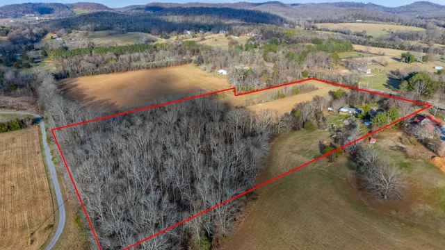 a view of a lake with a mountain