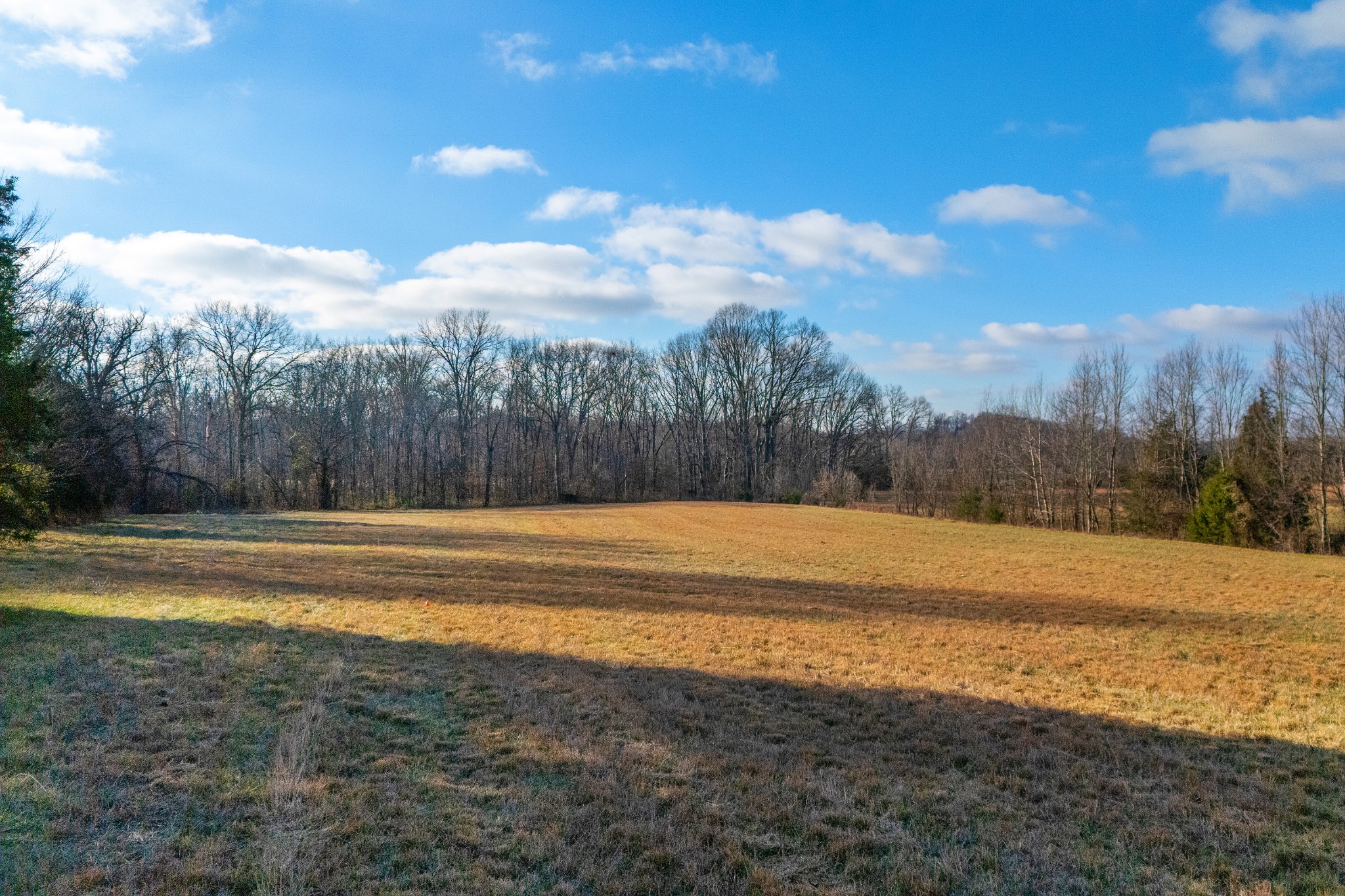 2275 Osburn Road Arrington, TN 37014 - Photo 7 of 18 a view of an ocean and beach