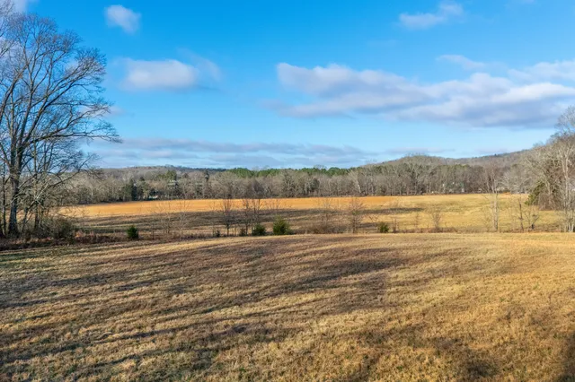 a view of an ocean beach