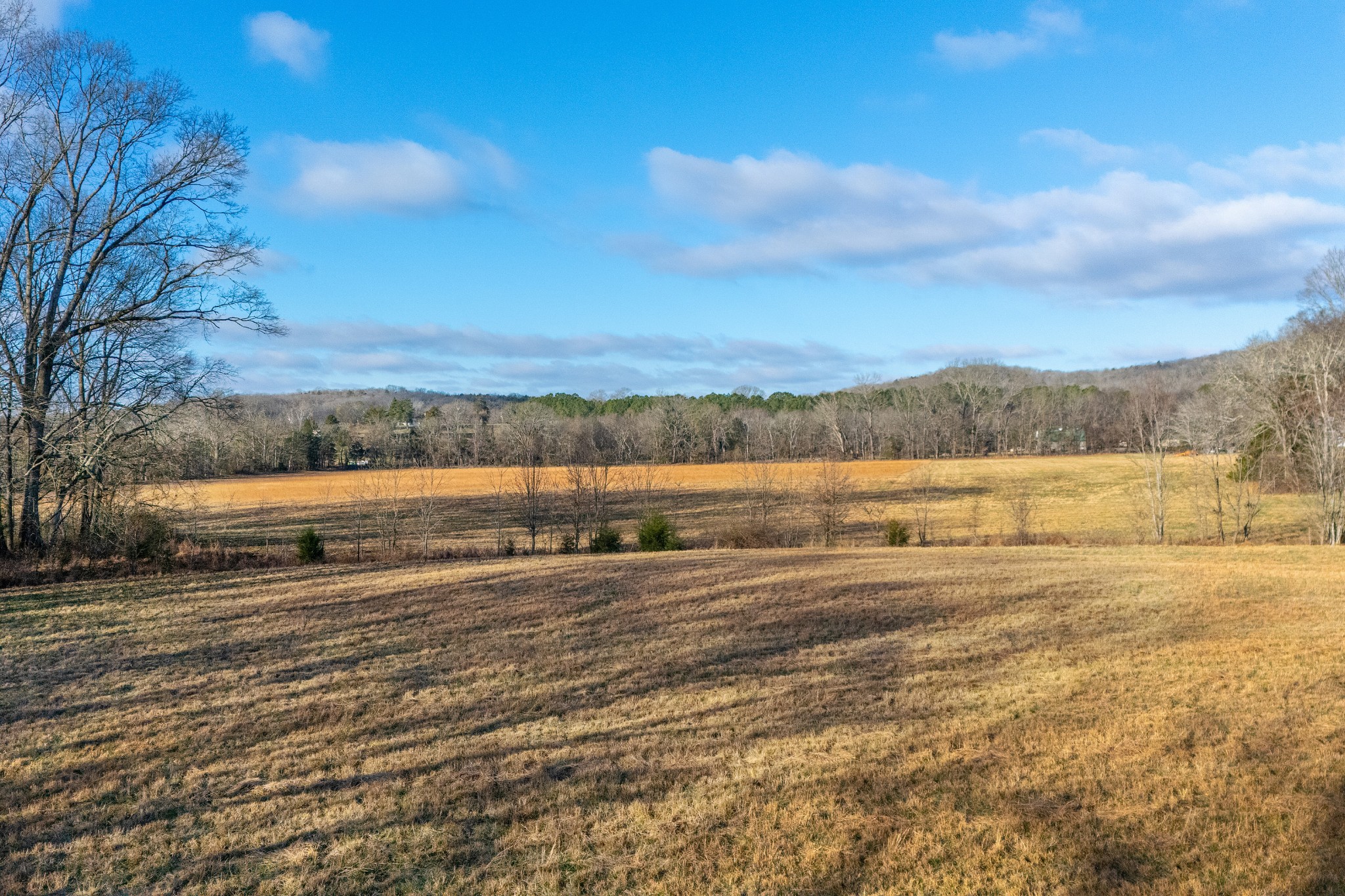 2275 Osburn Road Arrington, TN 37014 - Photo 8 of 18 a view of an ocean beach