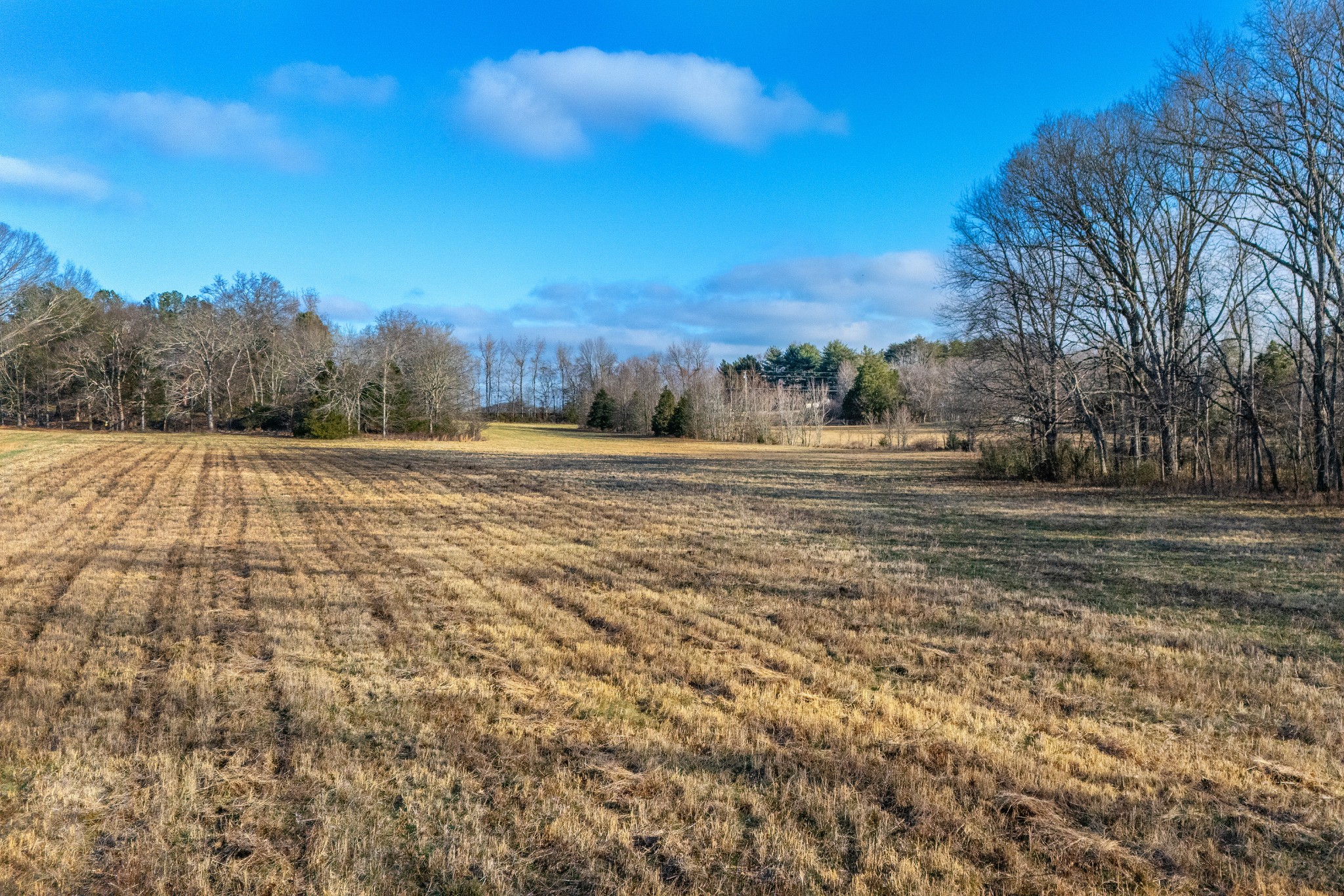 2275 Osburn Road Arrington, TN 37014 - Photo 10 of 18 a view of dirt field with trees