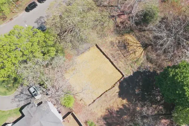 a view of a tree with a yard