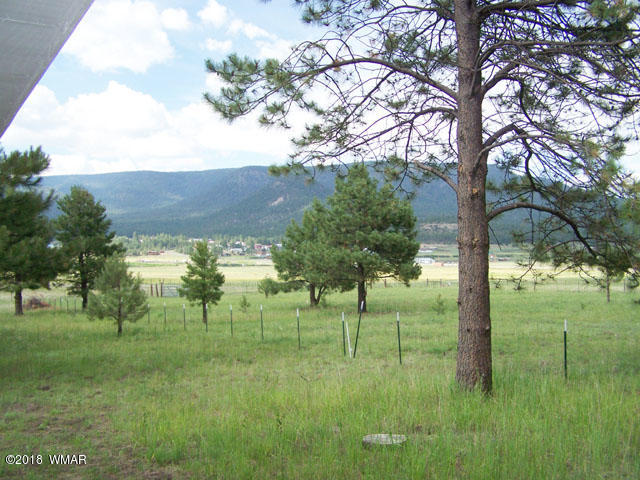 24 County Road Alpine, AZ 85920 - Photo 2 of 14