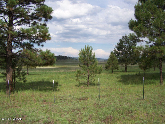 24 County Road Alpine, AZ 85920 - Photo 3 of 14