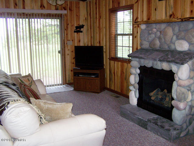 24 County Road Alpine, AZ 85920 - Photo 4 of 14