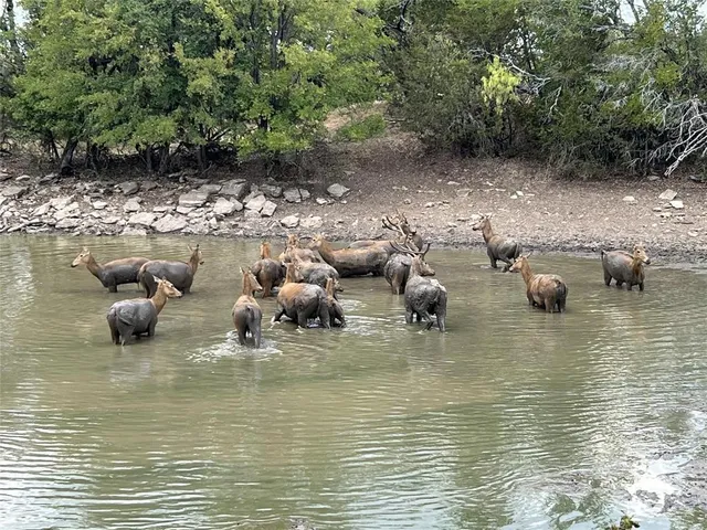 $525,000 | Lot 17 Tbd Goodnight Lane, Strawn, TX 76475