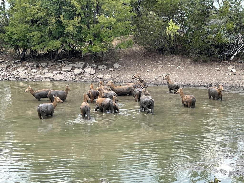 Lot 17 Tbd Goodnight Lane Strawn, TX 76475 - Photo 26 of 40