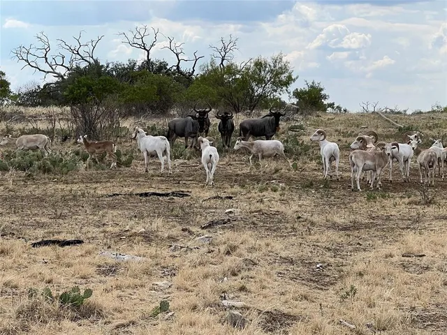 $525,000 | Lot 17 Tbd Goodnight Lane, Strawn, TX 76475