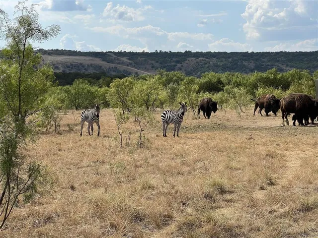 $525,000 | Lot 17 Tbd Goodnight Lane, Strawn, TX 76475