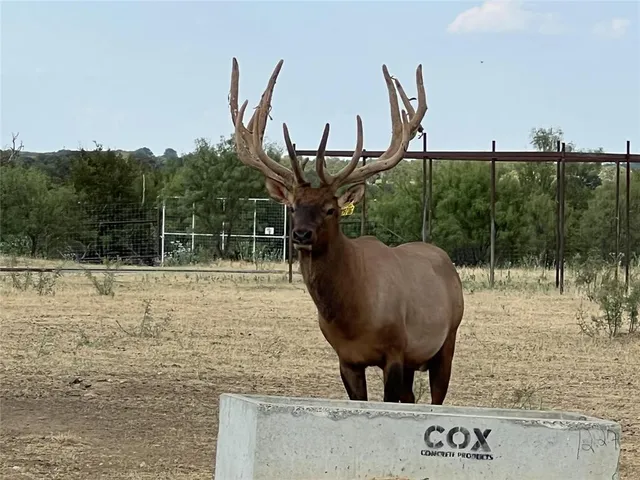 $525,000 | Lot 17 Tbd Goodnight Lane, Strawn, TX 76475