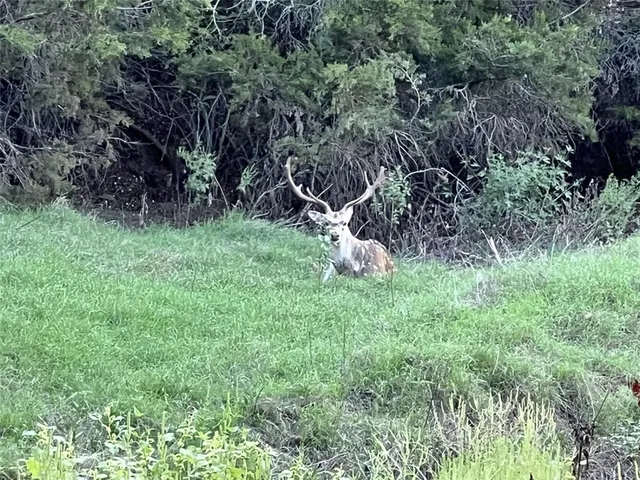 $525,000 | Lot 17 Tbd Goodnight Lane, Strawn, TX 76475