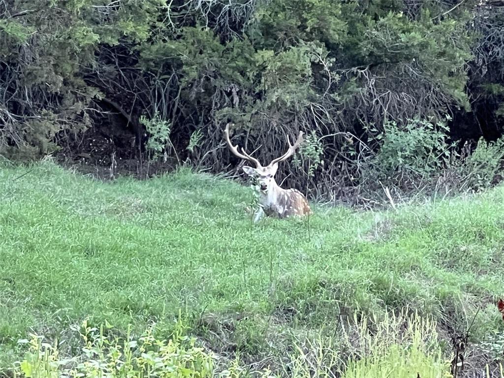 Lot 17 Tbd Goodnight Lane Strawn, TX 76475 - Photo 30 of 40
