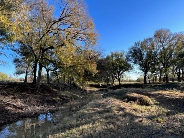 $525,000 | Lot 17 Tbd Goodnight Lane, Strawn, TX 76475