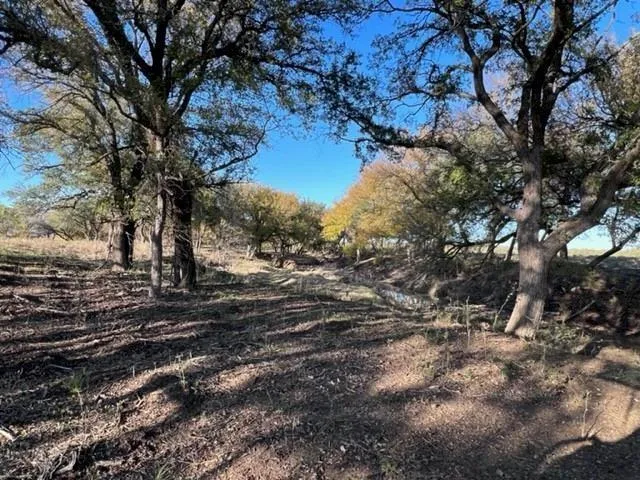 $525,000 | Lot 17 Tbd Goodnight Lane, Strawn, TX 76475