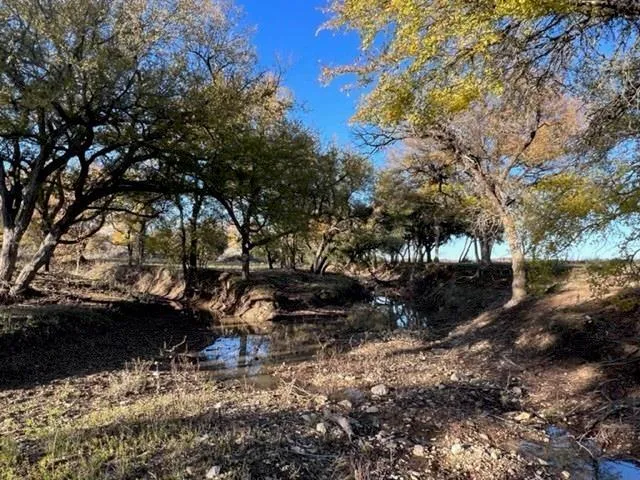 $525,000 | Lot 17 Tbd Goodnight Lane, Strawn, TX 76475