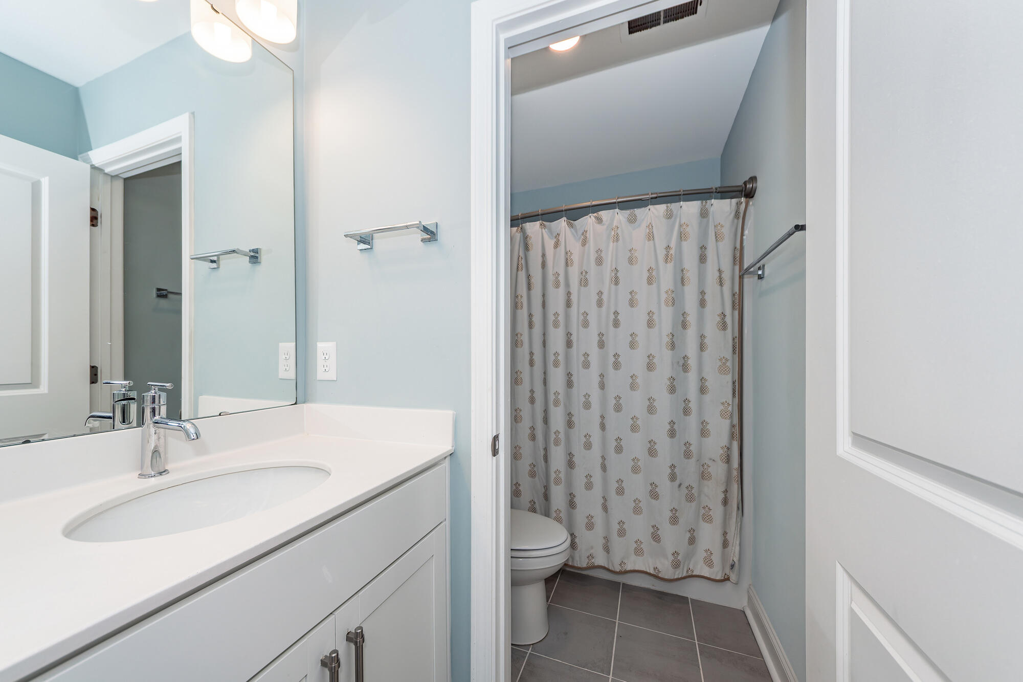 117 Forest Springs Road Moncks Corner, SC 29461 - Photo 20 of 21 61