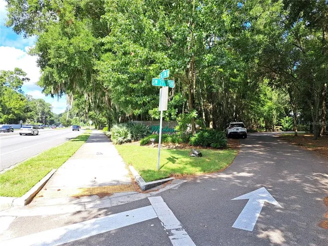 a view of a park with plants and trees