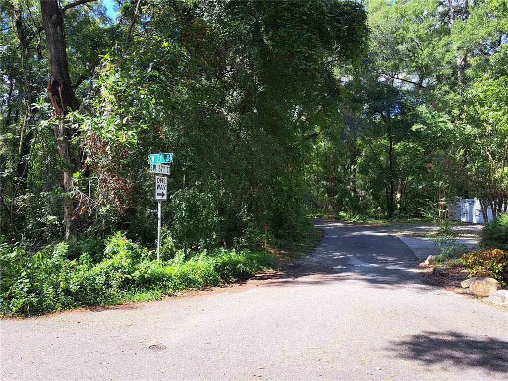 2164 Southwest 37th Court Gainesville, FL 32608 - Photo 4 of 6 a view of a yard with plants and trees