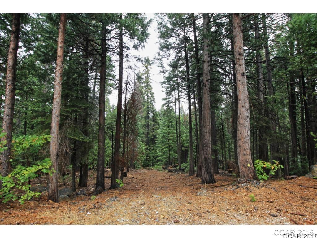 3193 Apache Road Arnold, CA 95223 - Photo 1 of 1 Gallery Image 1