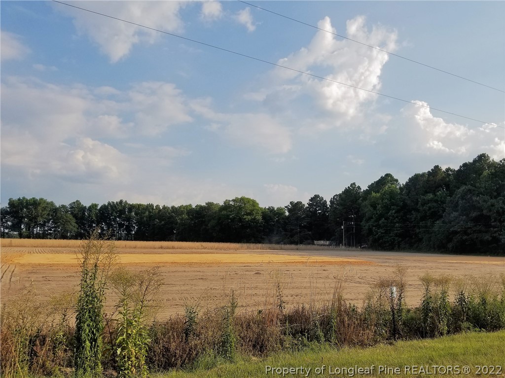 5120-lot2 J T Matthews Road Godwin, NC 28344 - Photo 5 of 5 a view of outside space with lake view