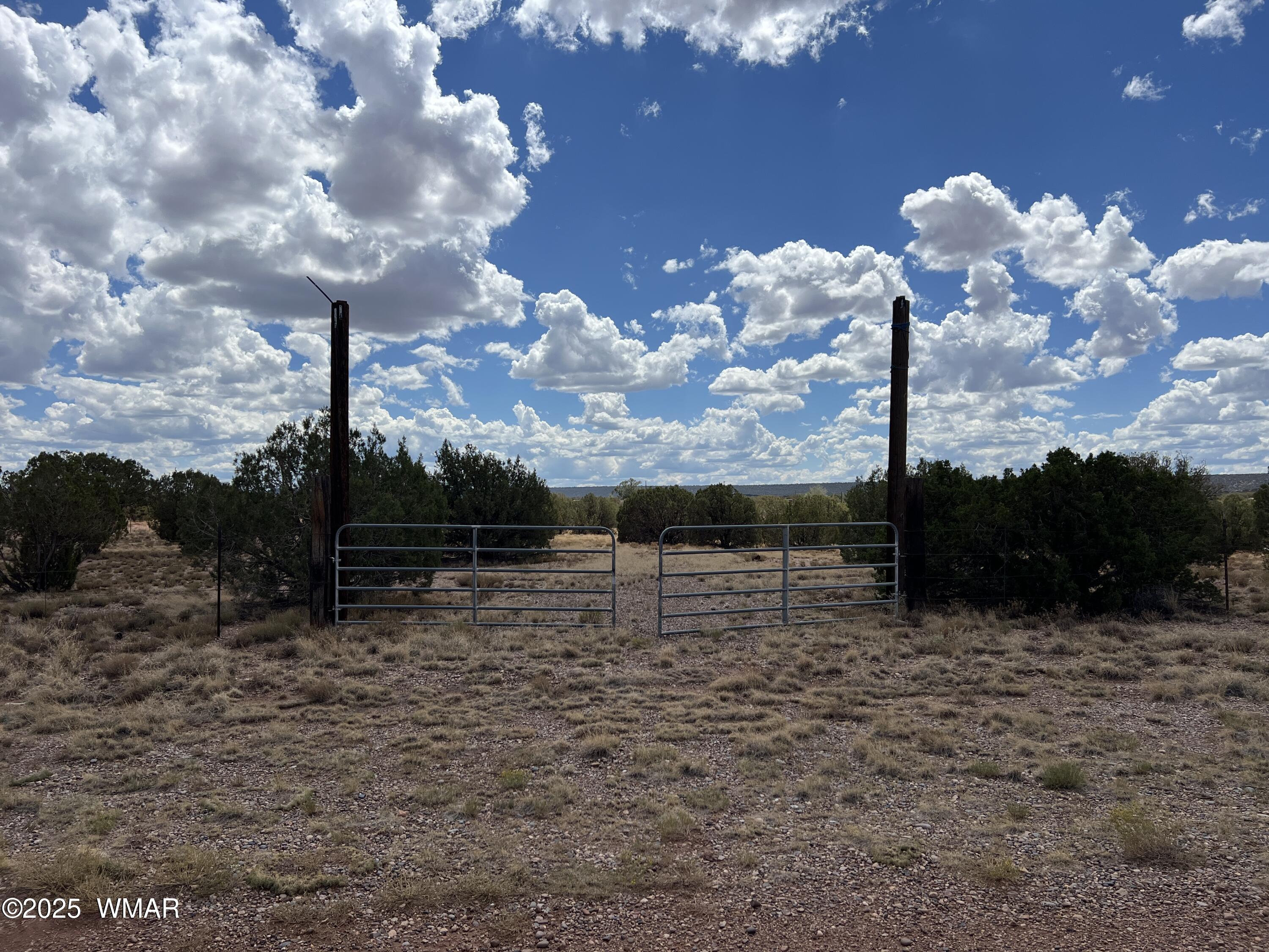 4498 East Pinto Road Snowflake, AZ 85937 - Photo 1 of 7 a view of a backyard