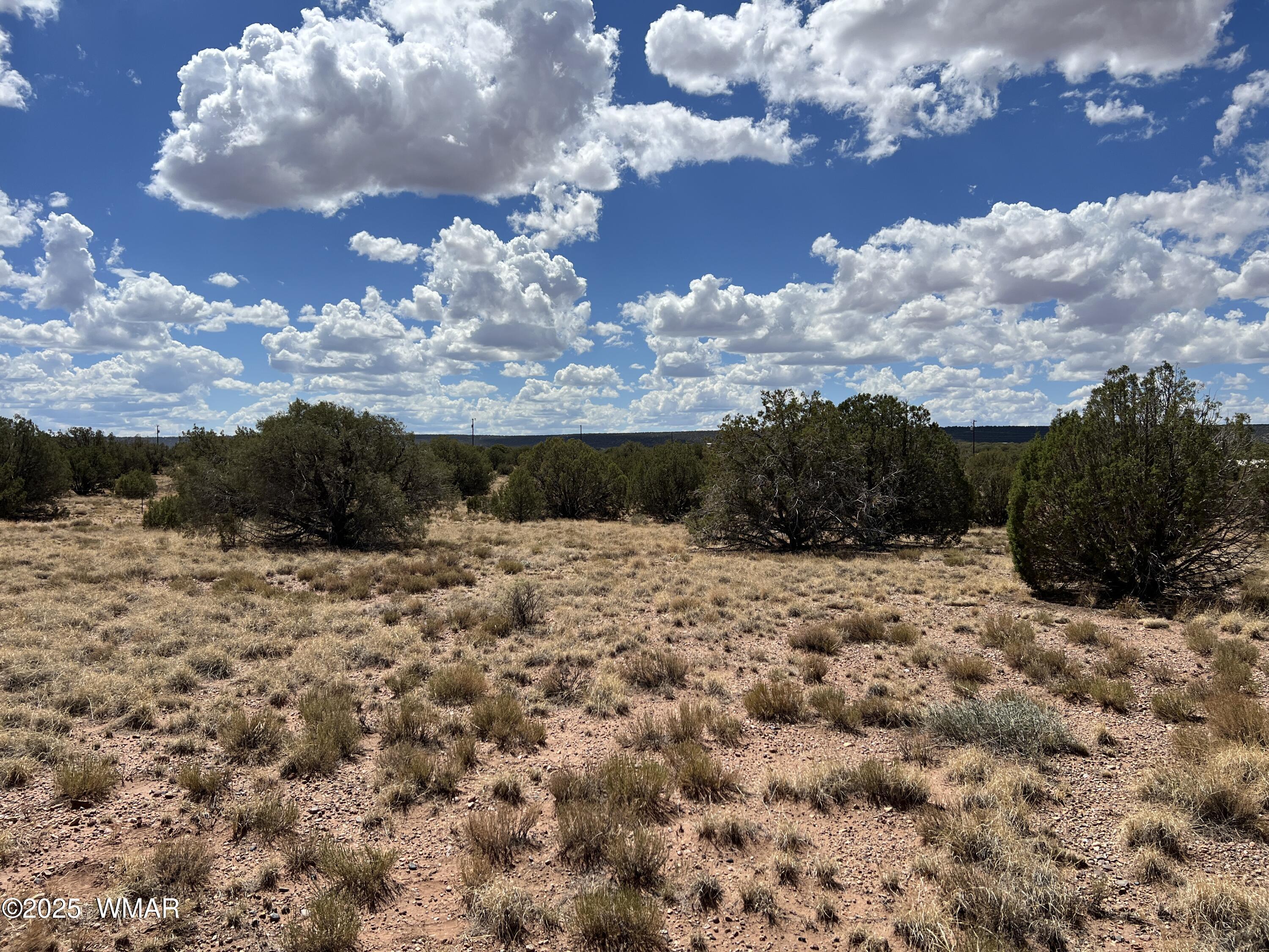 4498 East Pinto Road Snowflake, AZ 85937 - Photo 7 of 7 a view of a dry yard