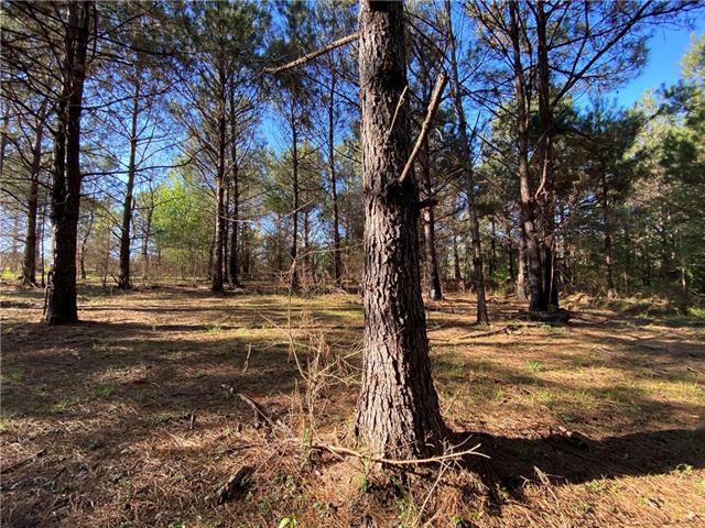 Tbd Ruth Holton Road Amite, LA 70422 - Photo 18 of 34
