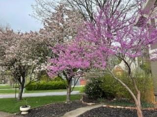 4975 Ward Parkway Kansas City, MO 64112 - Photo 49 of 62