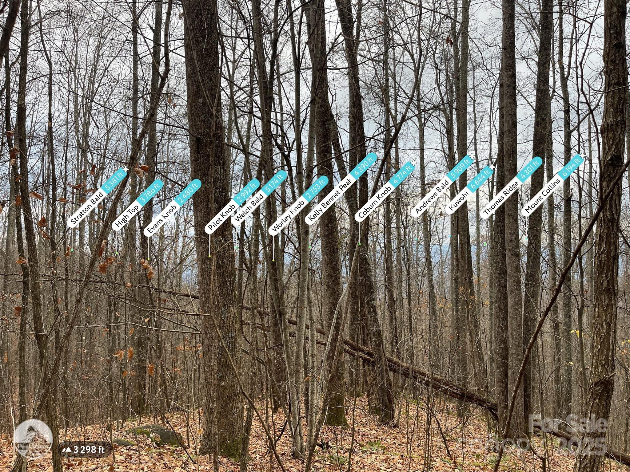 805 Sparkling Fls Road Whittier, NC 28789 - Photo 16 of 33 a view of street