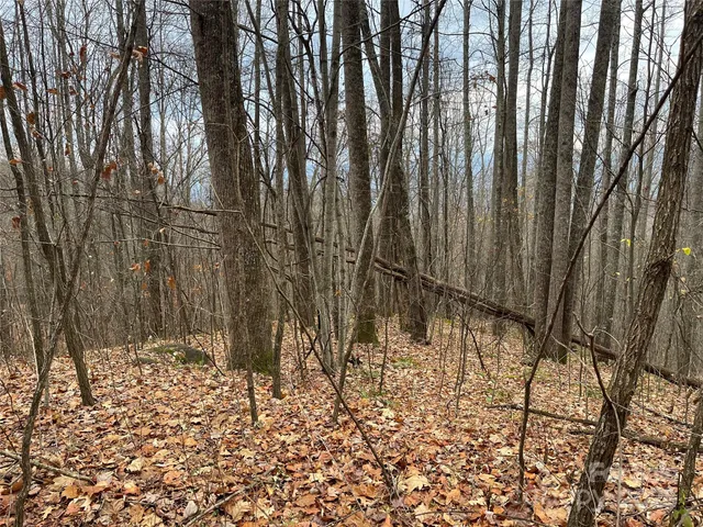 a view of wooden fence