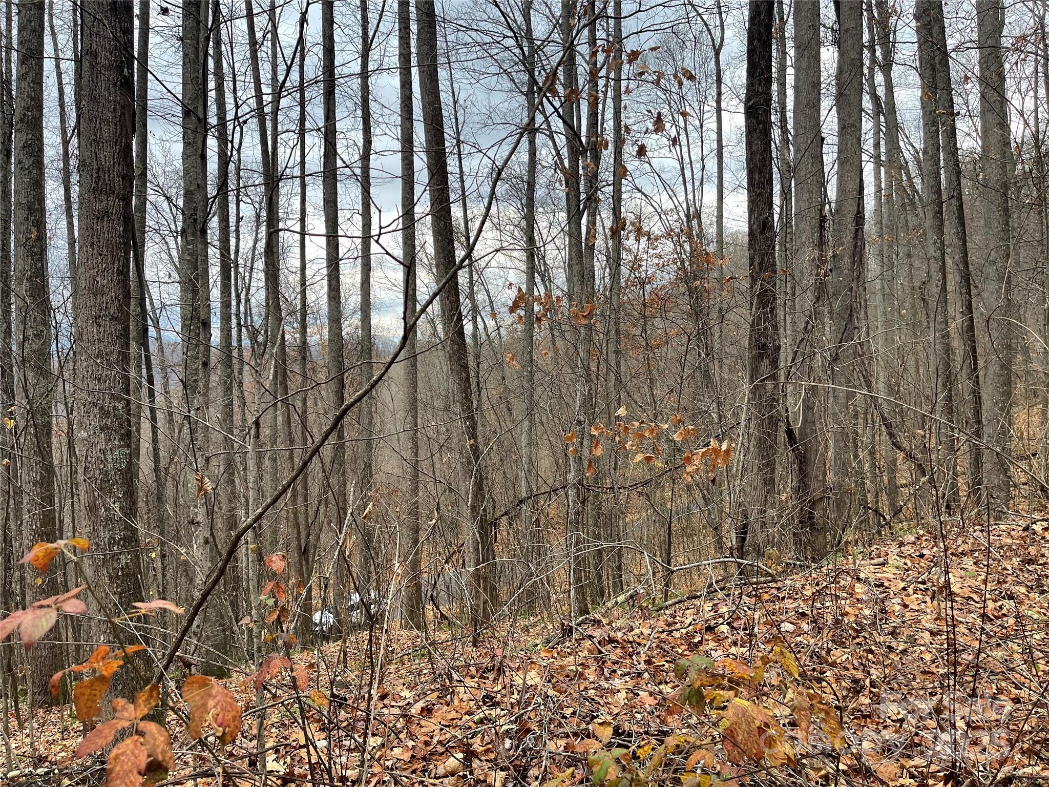 805 Sparkling Fls Road Whittier, NC 28789 - Photo 19 of 33