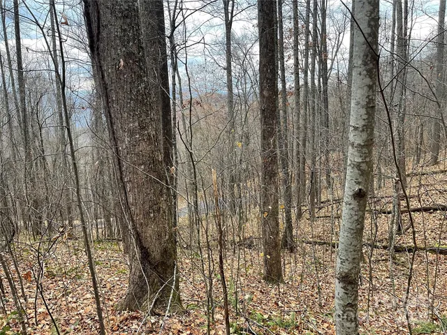 a view of wooden floor