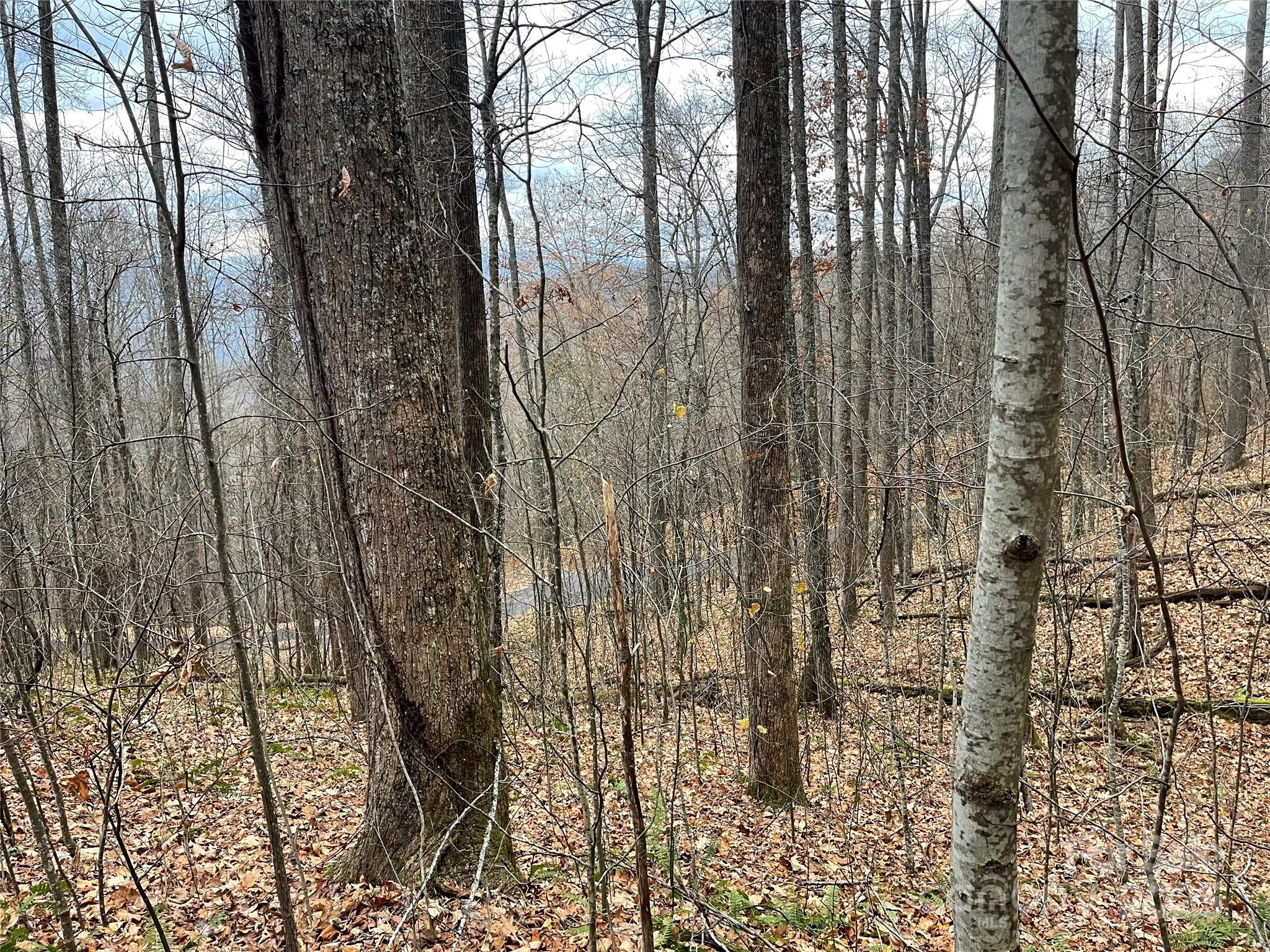 805 Sparkling Fls Road Whittier, NC 28789 - Photo 20 of 33