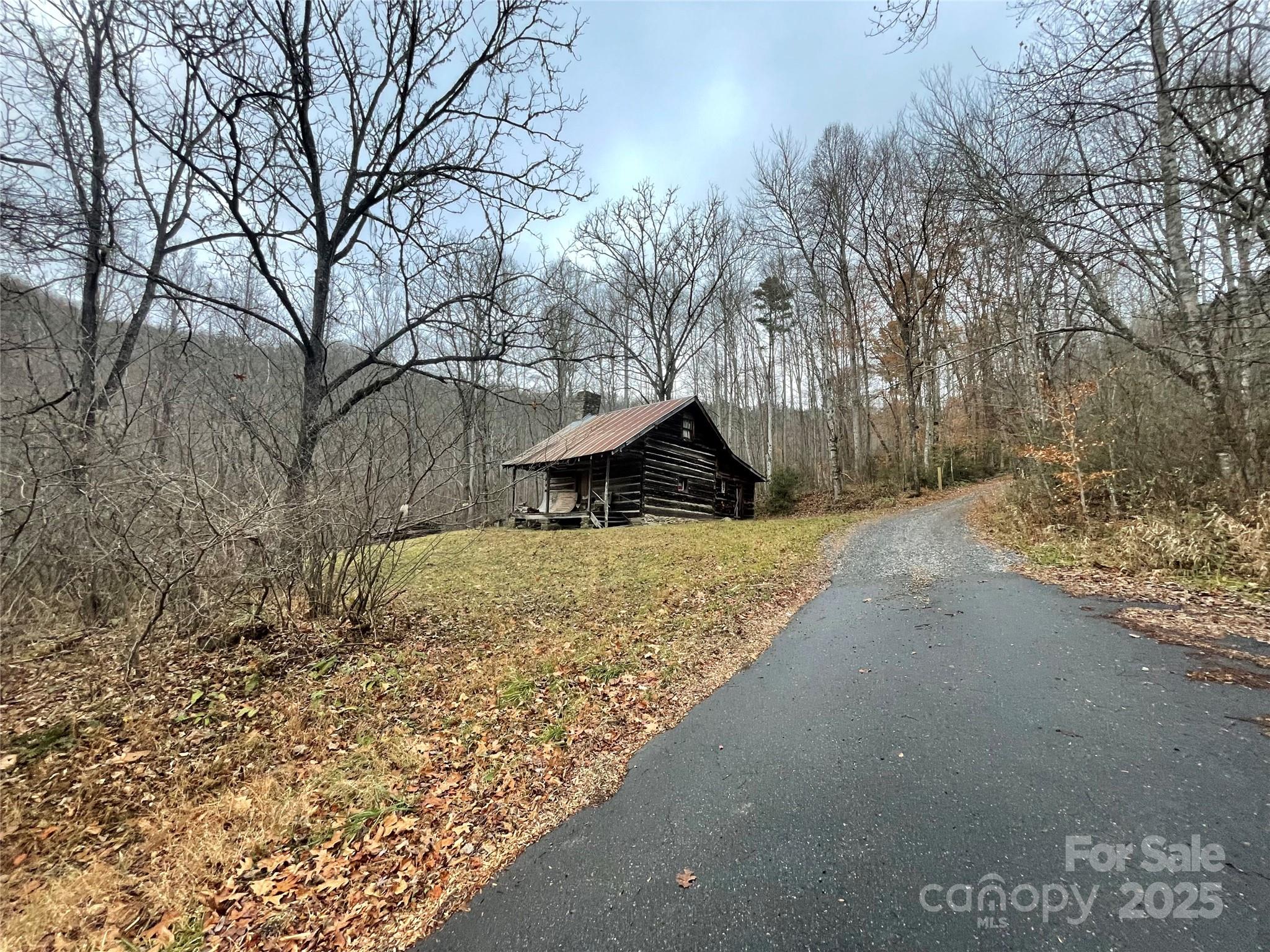 805 Sparkling Fls Road Whittier, NC 28789 - Photo 2 of 33 a view of a backyard of the house
