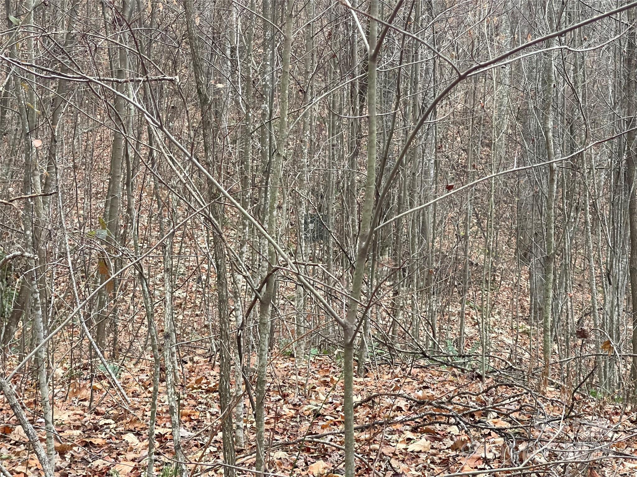 805 Sparkling Fls Road Whittier, NC 28789 - Photo 24 of 33