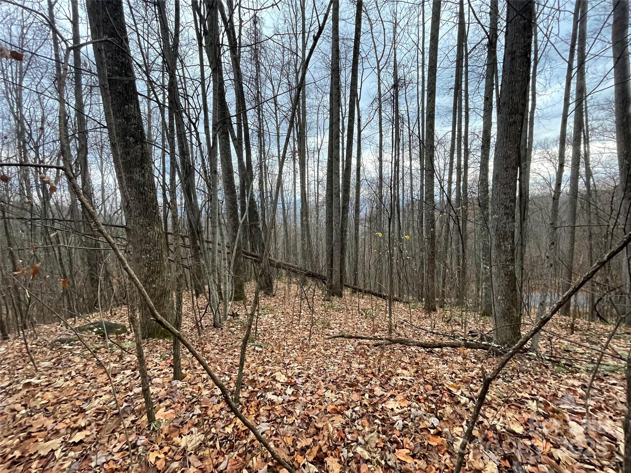 805 Sparkling Fls Road Whittier, NC 28789 - Photo 25 of 33 a view of wooden fence