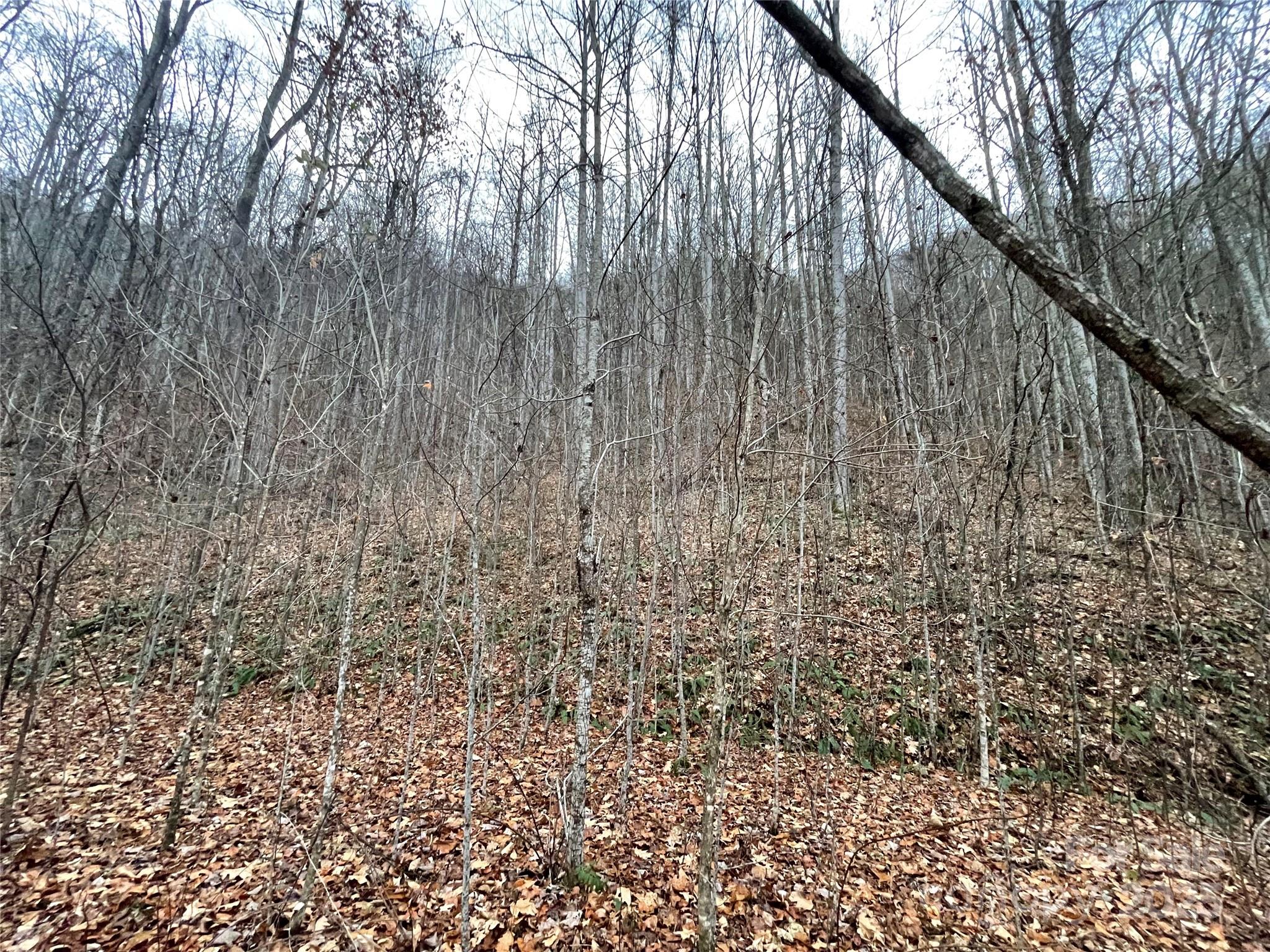 805 Sparkling Fls Road Whittier, NC 28789 - Photo 26 of 33 a view of wooden floor