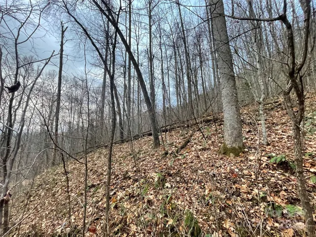 $120,000 | 805 Sparkling Fls Road, Whittier, NC 28789