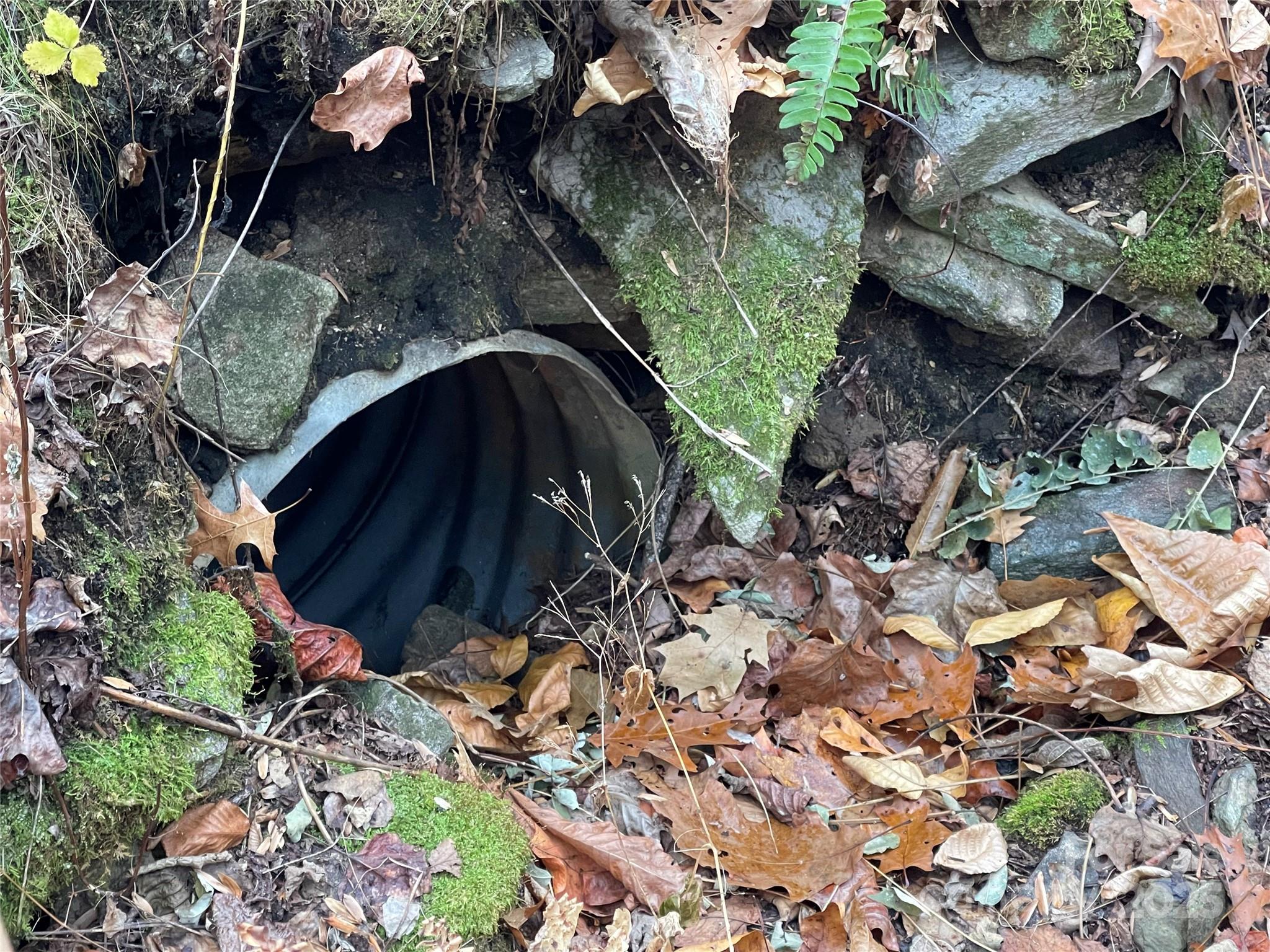 805 Sparkling Fls Road Whittier, NC 28789 - Photo 31 of 33 a view of bushes and pathway