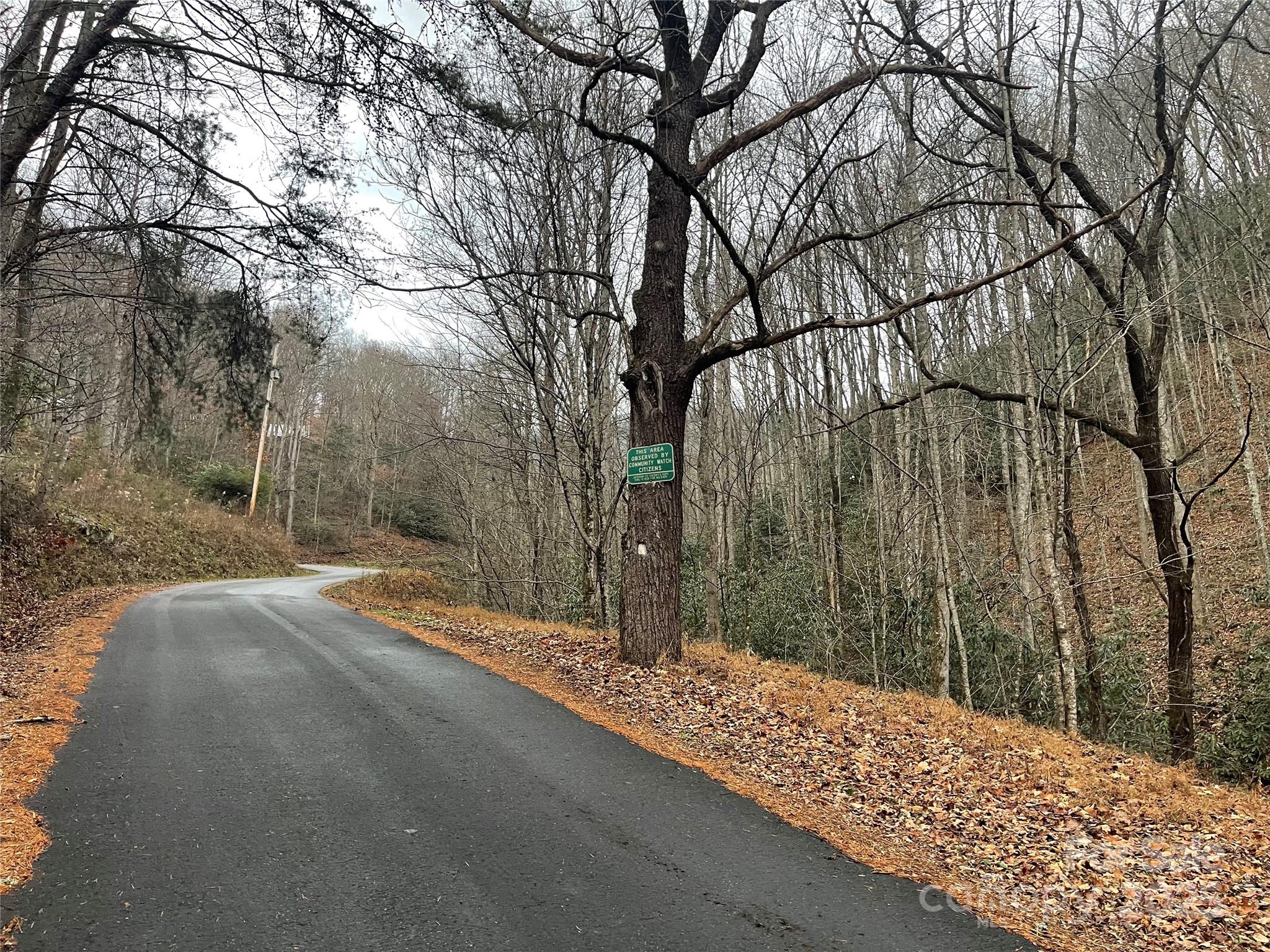 805 Sparkling Fls Road Whittier, NC 28789 - Photo 33 of 33 a view of a backyard of the house