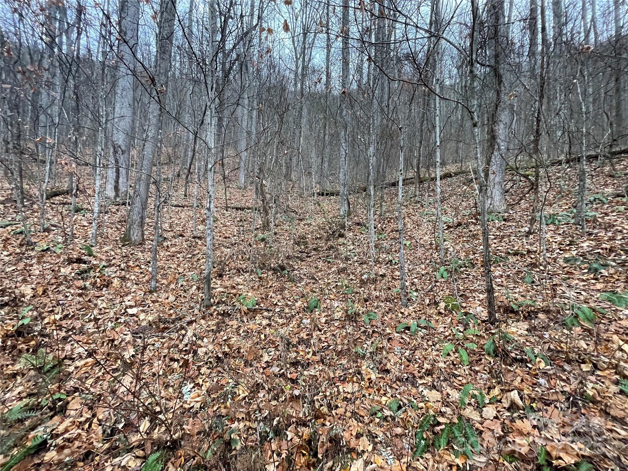 805 Sparkling Fls Road Whittier, NC 28789 - Photo 4 of 33 a view of wooden fence of a house