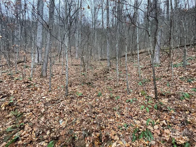 a view of wooden fence