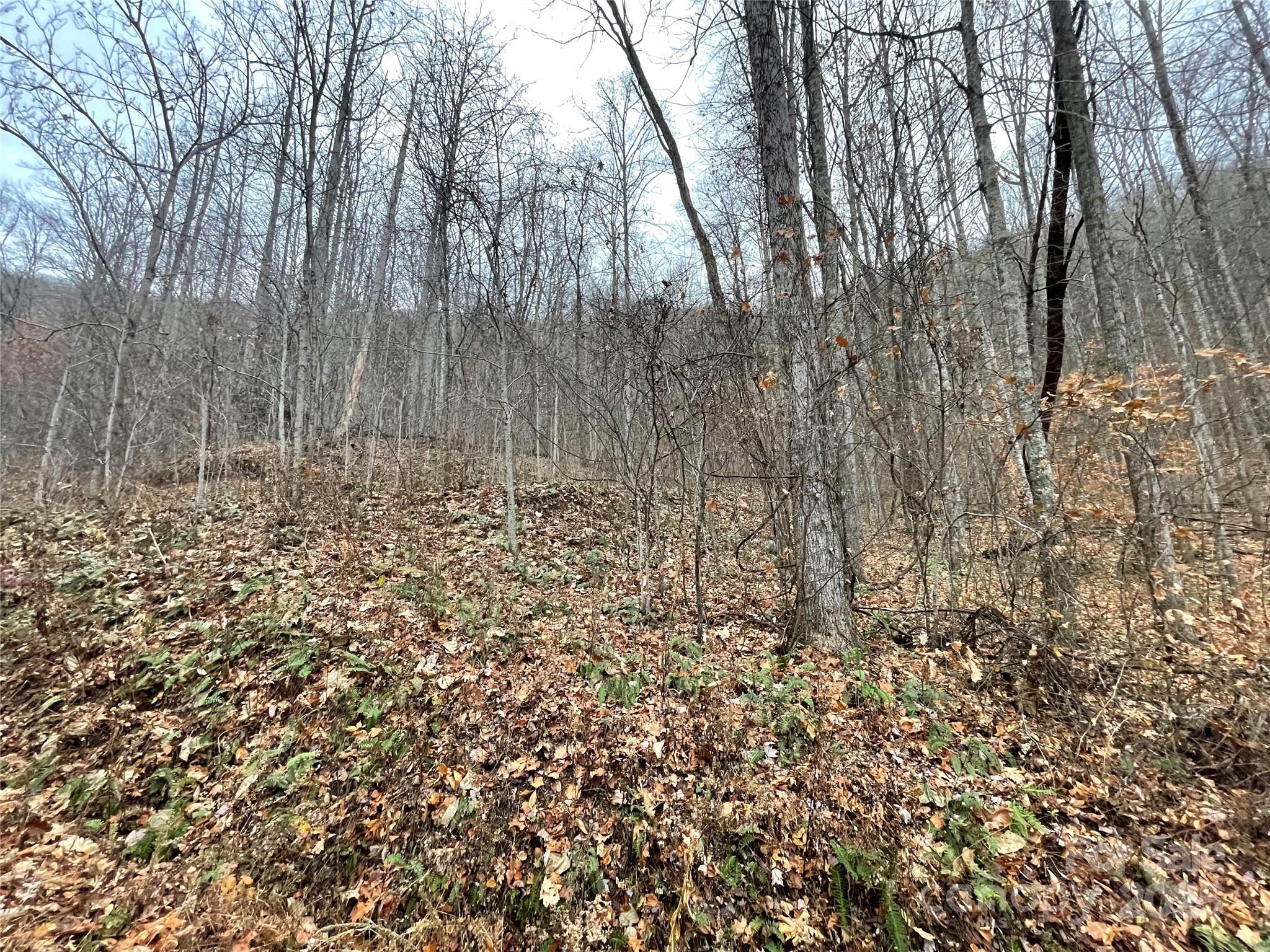 805 Sparkling Fls Road Whittier, NC 28789 - Photo 7 of 33 a view of wooden fence