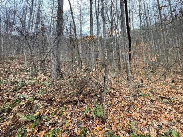 a view of backyard with wooden fence
